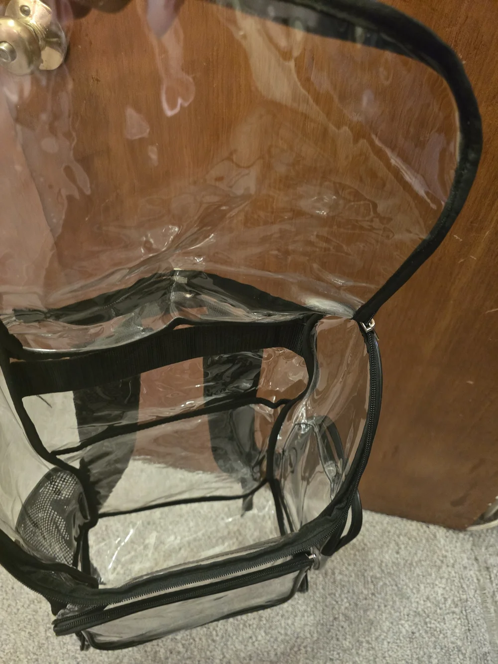 Clear PVC Black-Trim Men's Backpack - Transparent Travel Bag